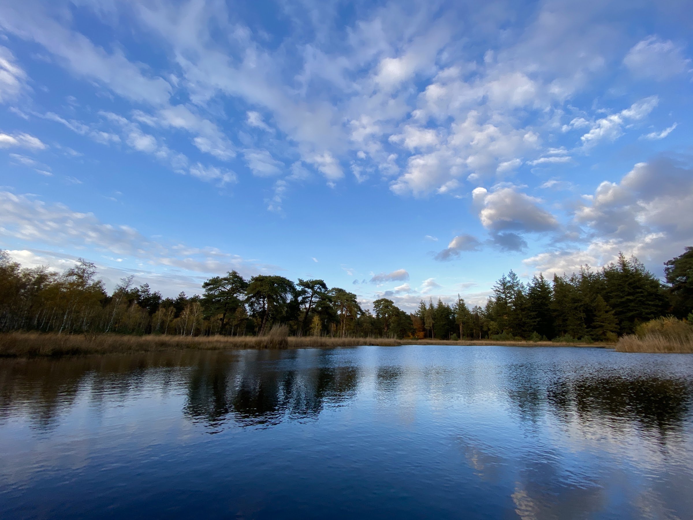 Nationaal Park De Hoge Veluwe